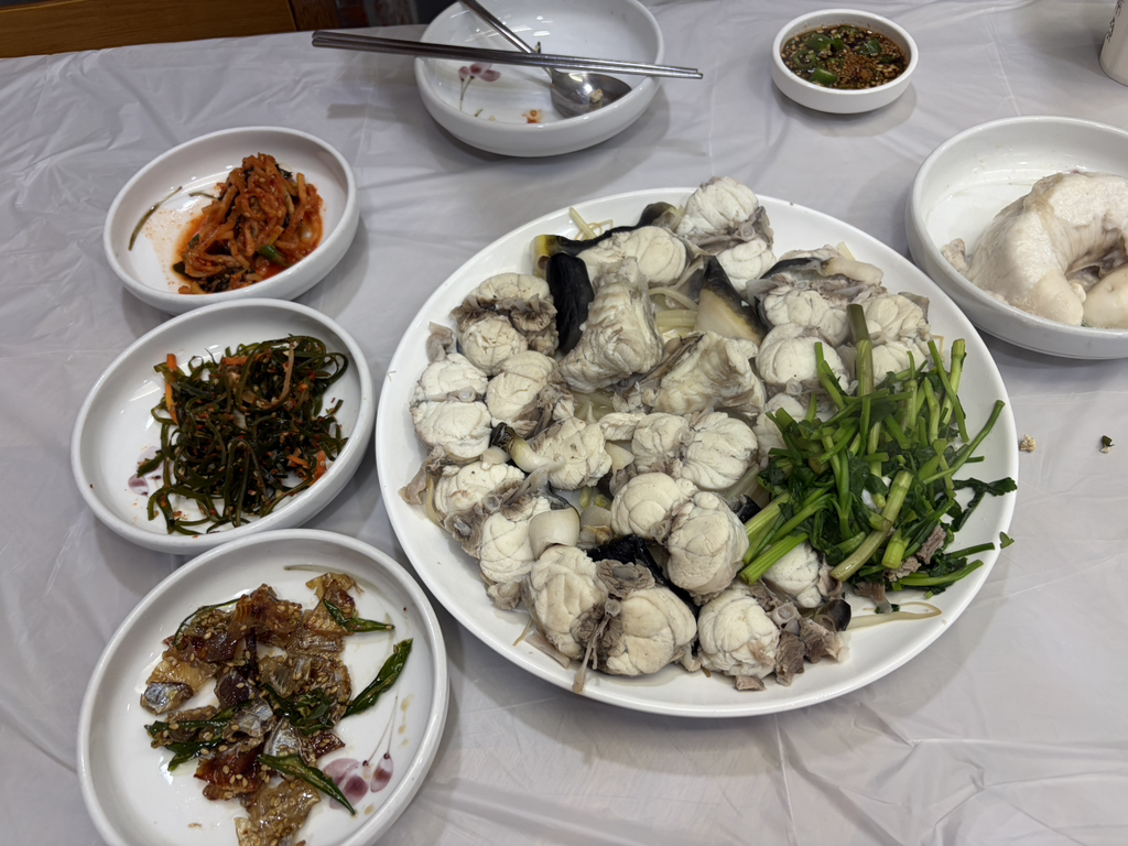 감포일출복어 사진 3