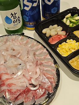 돌고래 대표 사진