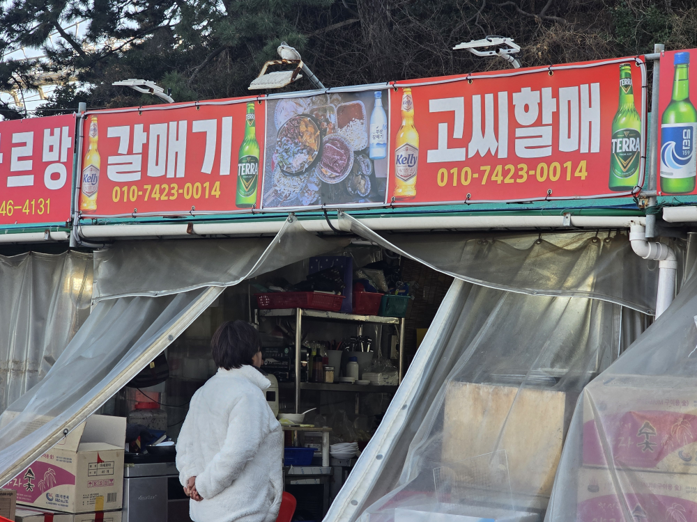 갈매기 대표 사진