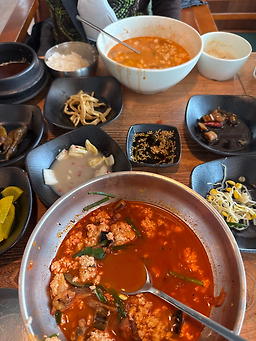 초당애 사진 7