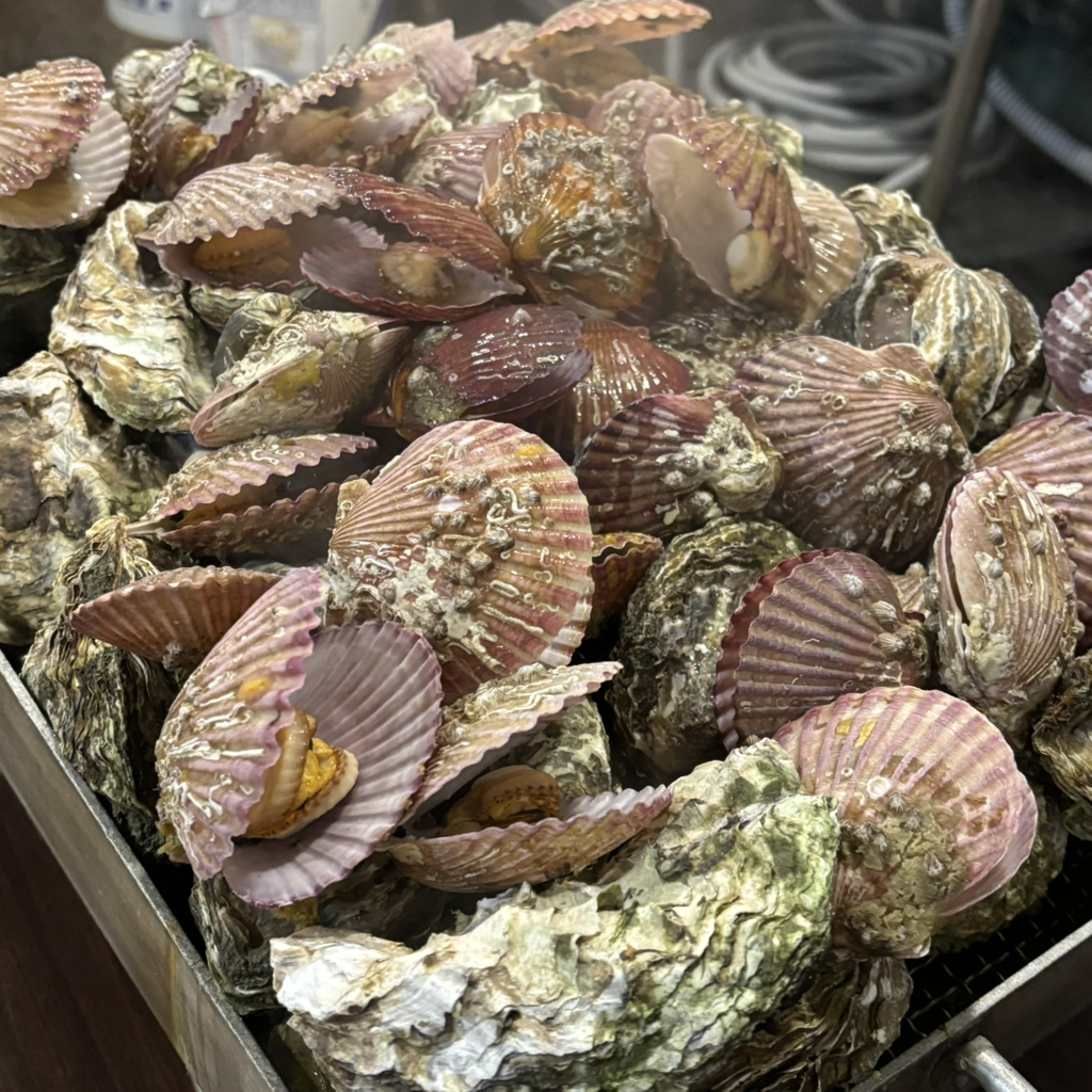 강진식당 대표 사진