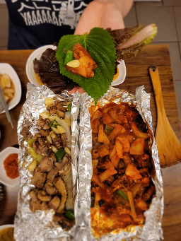 바다산곰장어 사진 2