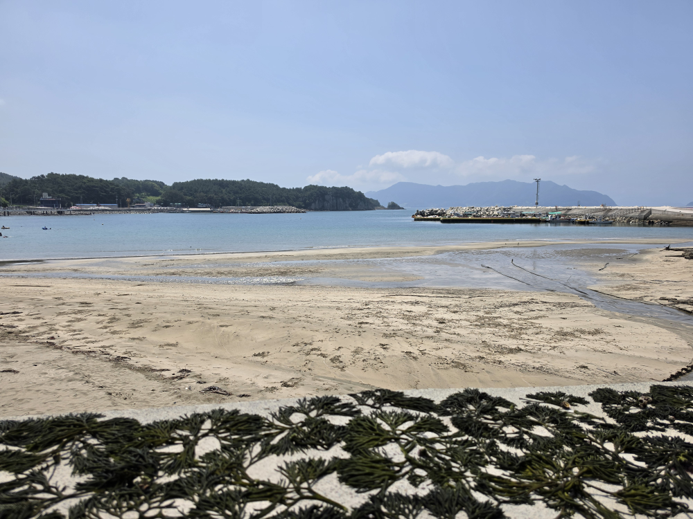 고성바다 사진 3