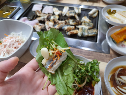 화산바다장어 사진 3