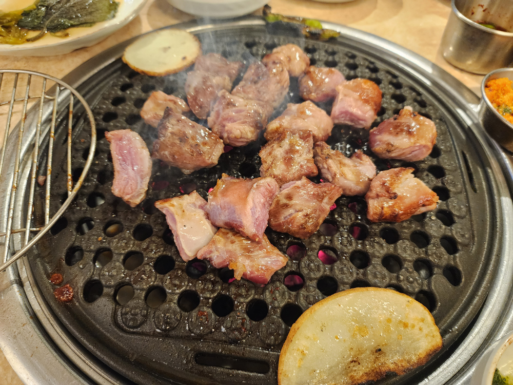 돼지나무사랑걸렸네 사진 5