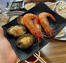 갈매기 사진 5