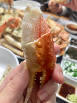 북해도회도매센터 사진 8