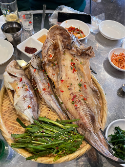 통령애 사진 6