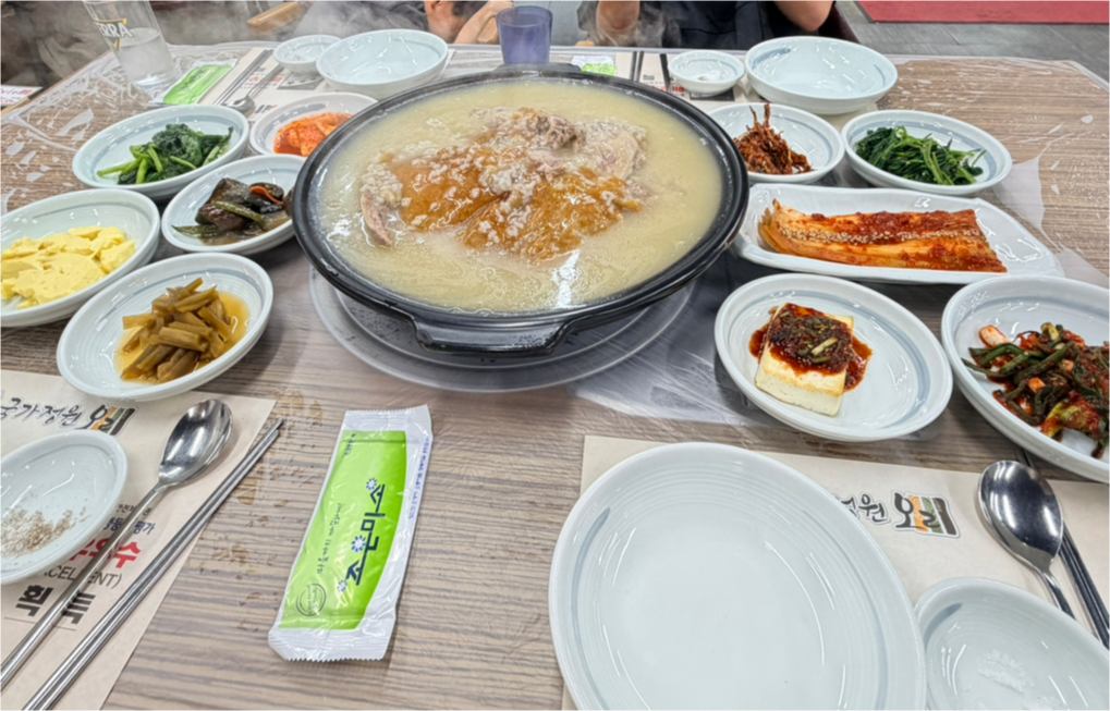 국가정원오리 사진 3
