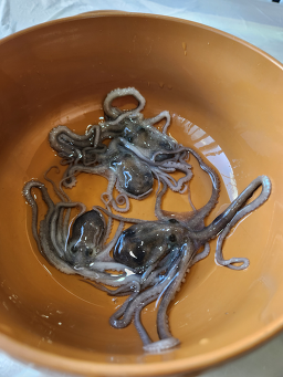 달성휴게소 사진 2