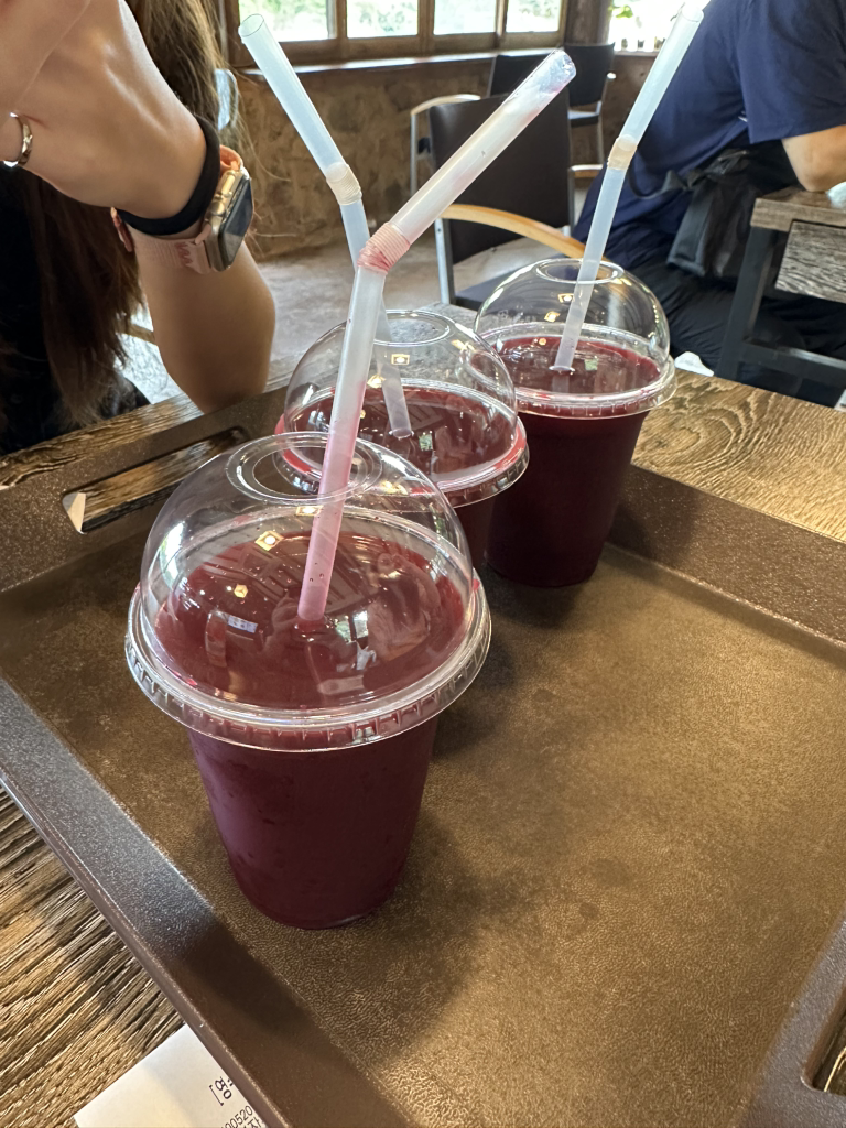 제주돌문화공원 돌하르방카페 닥터큘라