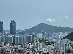 DK치킨 용호점 사진 2