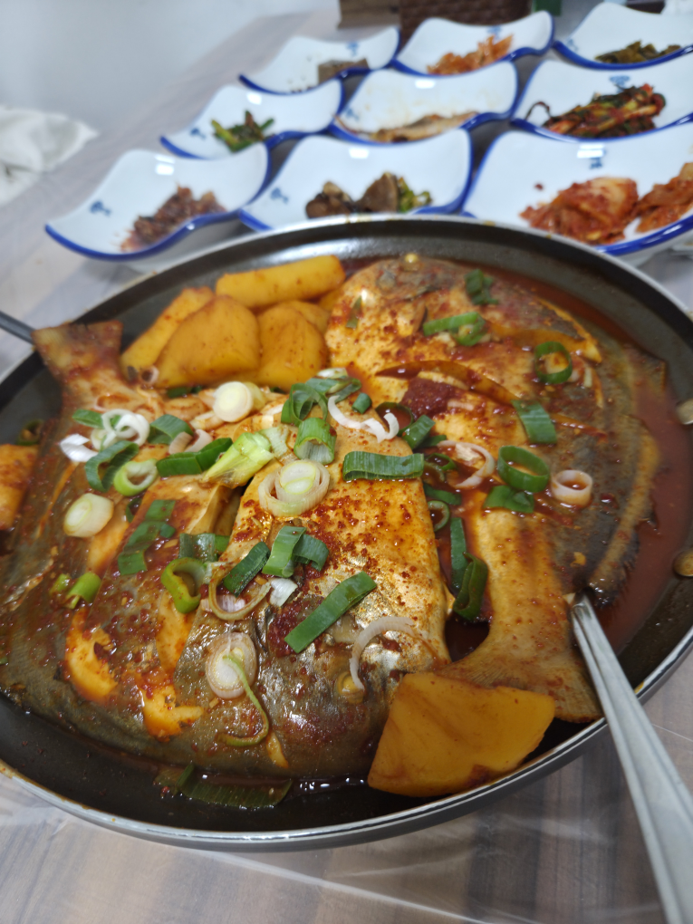 사랑새 사진 4