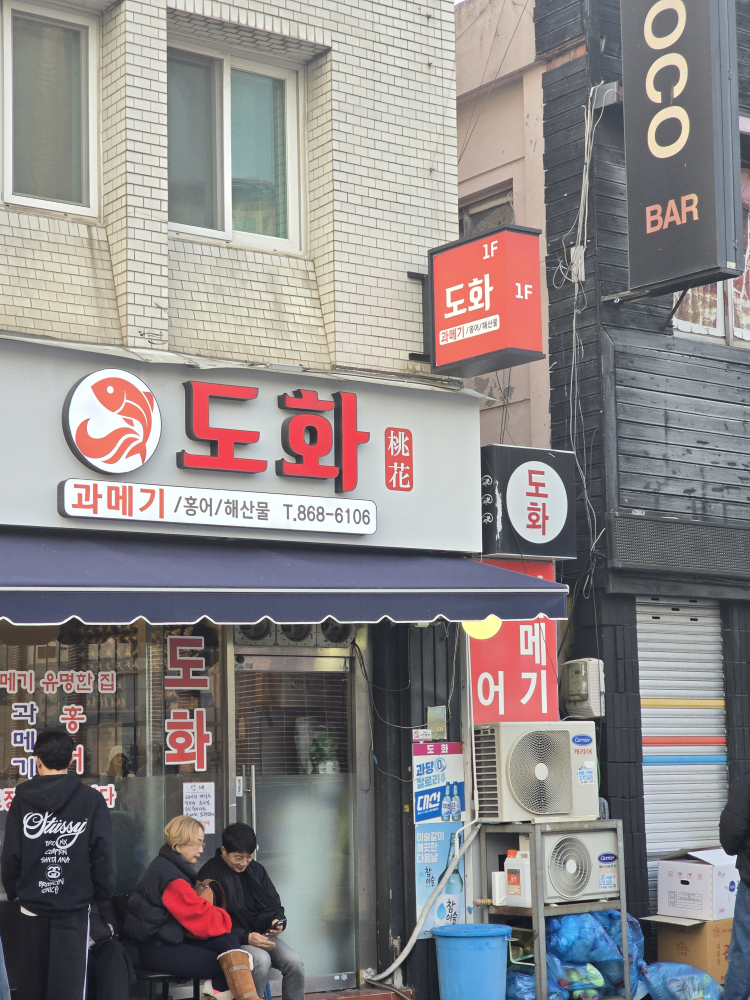 도화 대표 사진