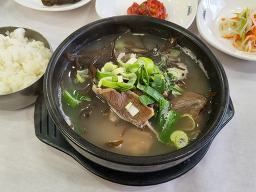 뱃고동 사진 3