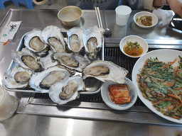 벚굴식당 사진 6