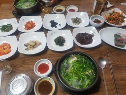 홍도복어 사진 8