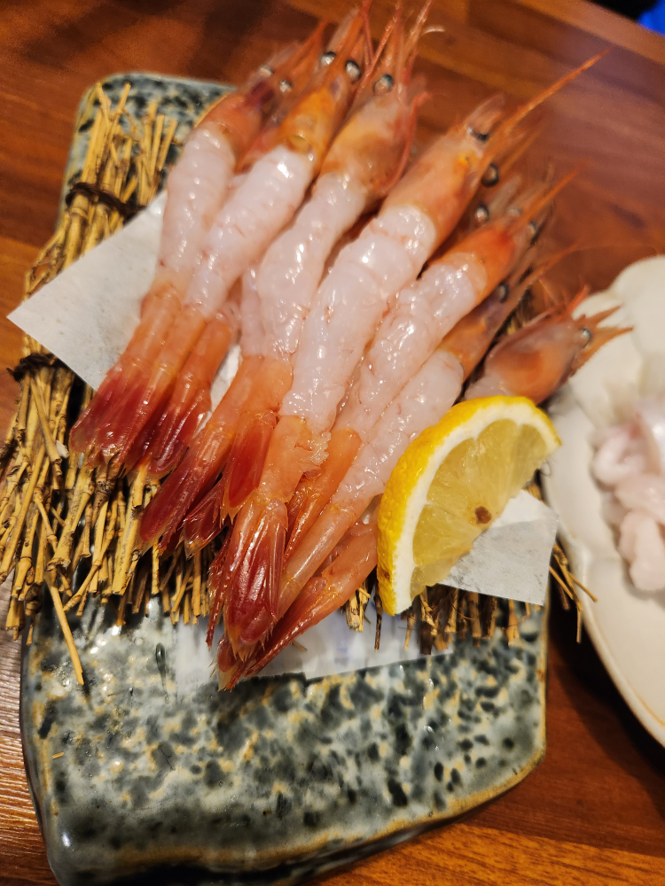 동래스시 사진 6