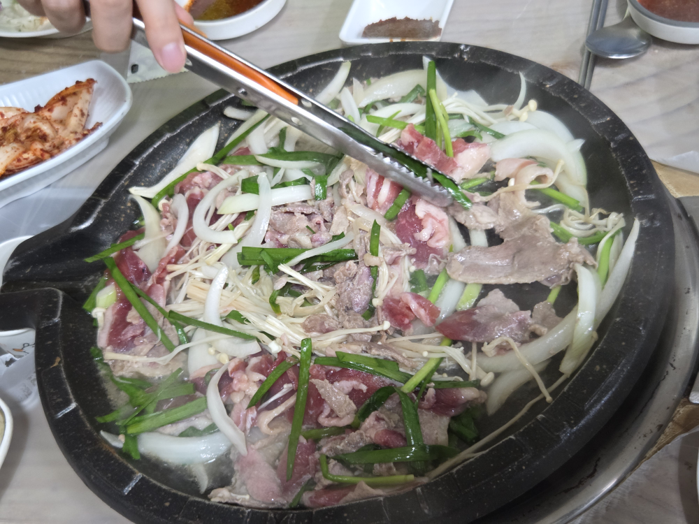 탐진강오리 사진 2