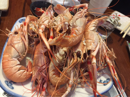 단골 사진 5