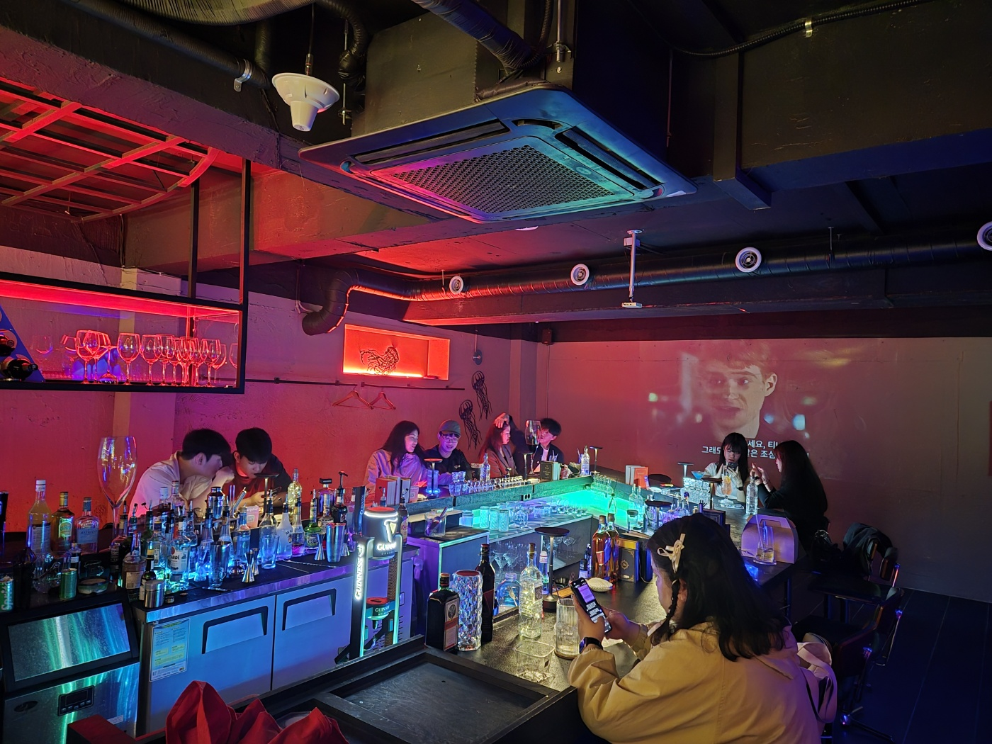 해파리 사진 3