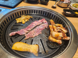 고온 대표 사진