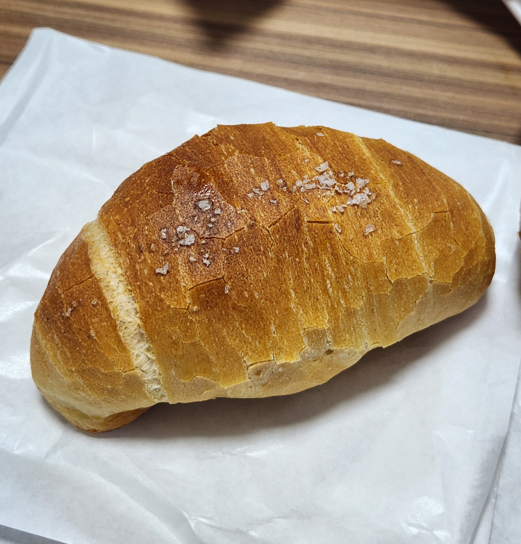 초이고야 사진 2