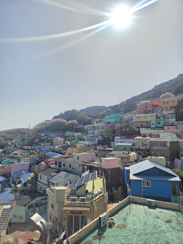 뷰·감성