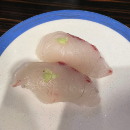 태스시 대표 사진
