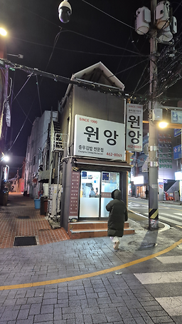 원앙 사진 2