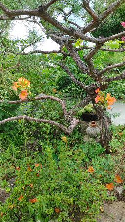 삼국식당 사진 3