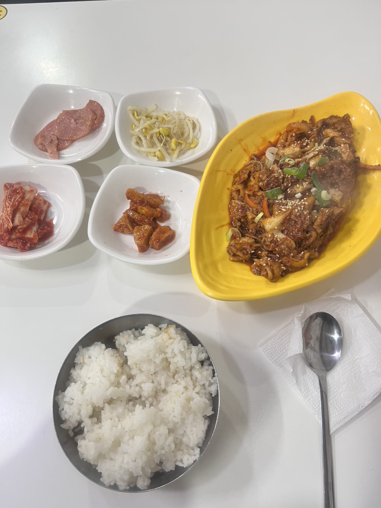 돌담 대표 사진