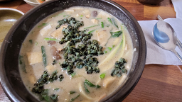 삼제다슬기 사진 6