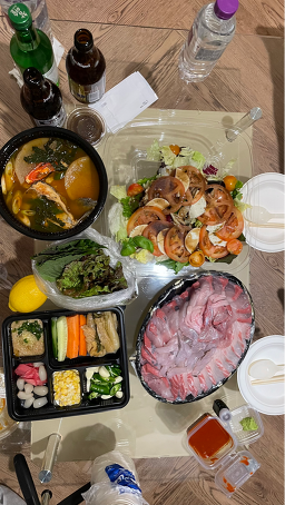 돌고래 사진 2