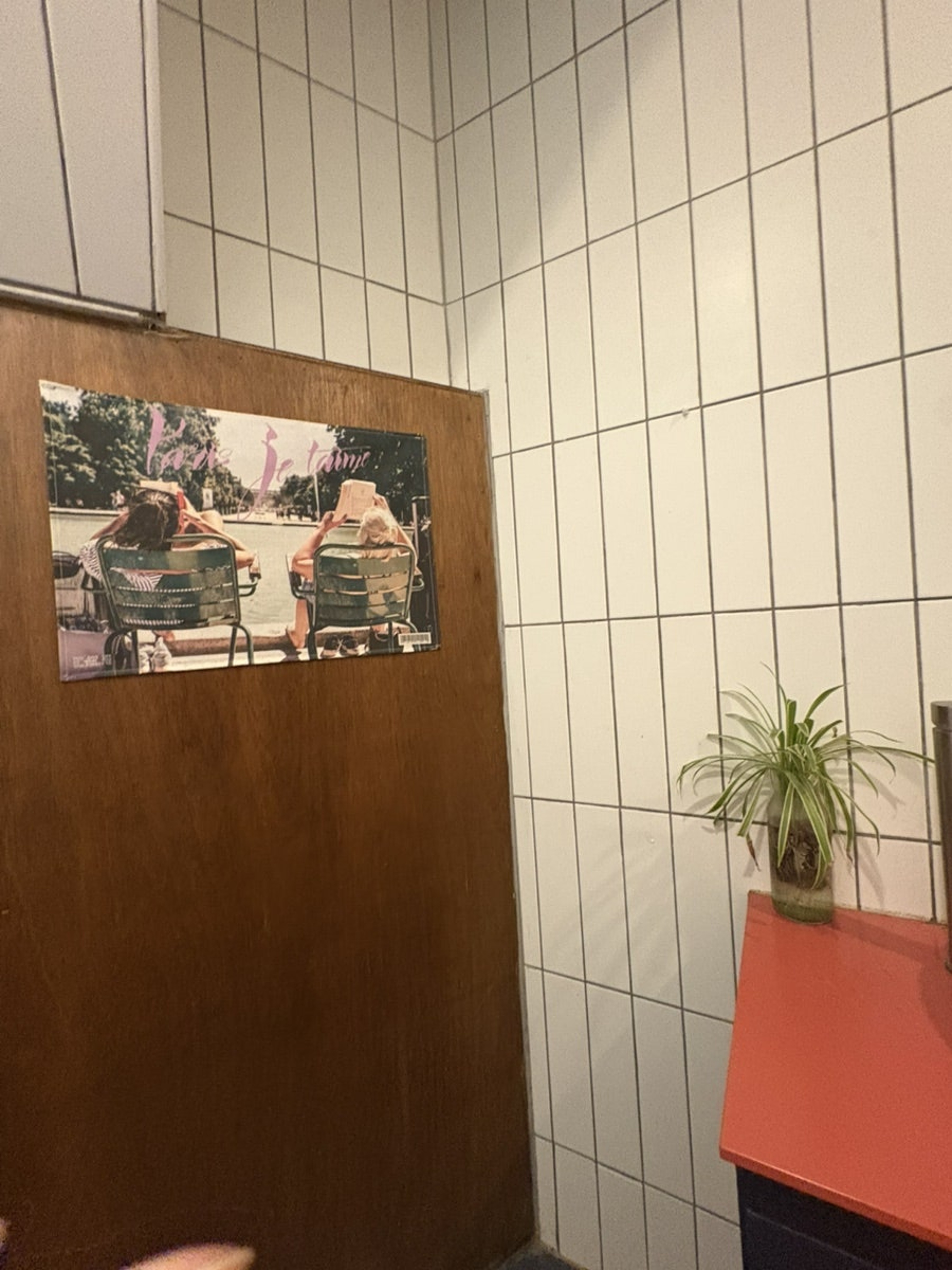 무해한사이 사진 2
