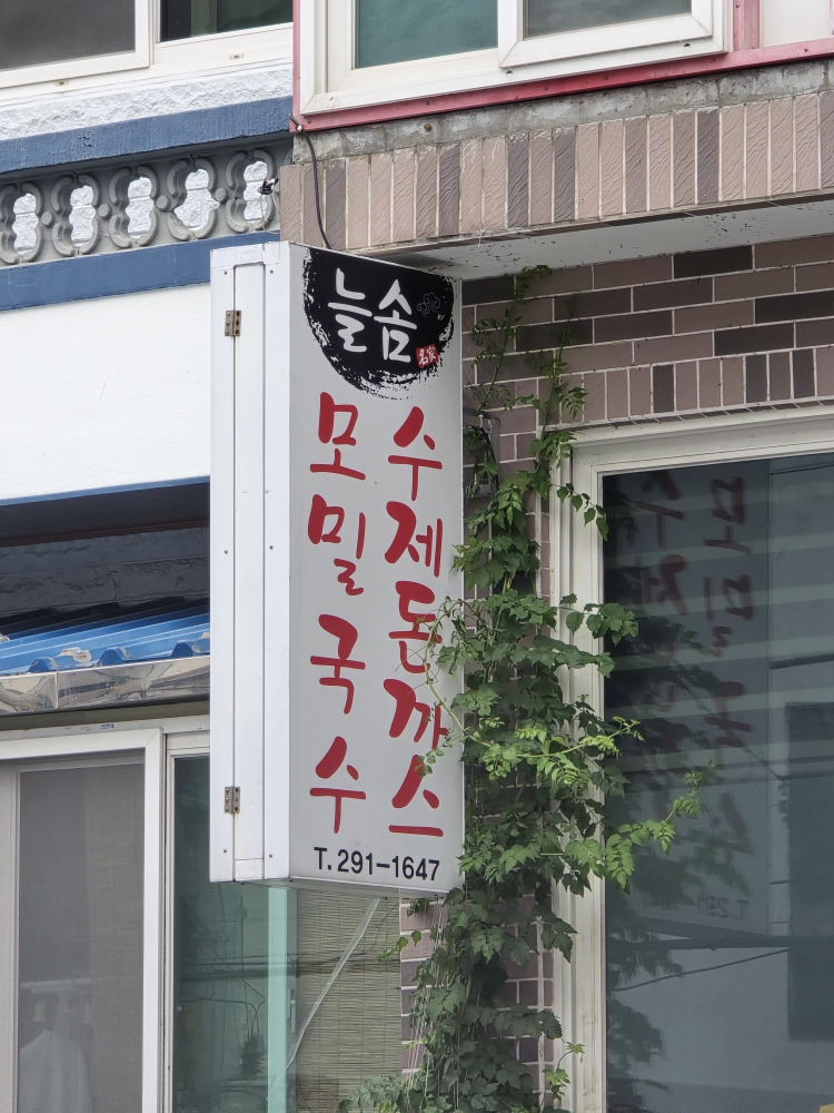 늘솜 사진 3