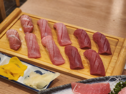참치철 사진 5