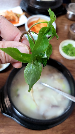 제왕산순대국밥 사진 2