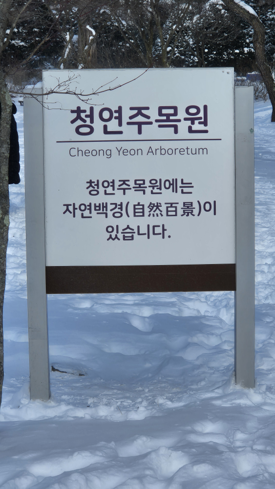 삼양라운드힐 카페