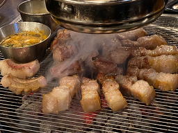 제주백돈 사진 4