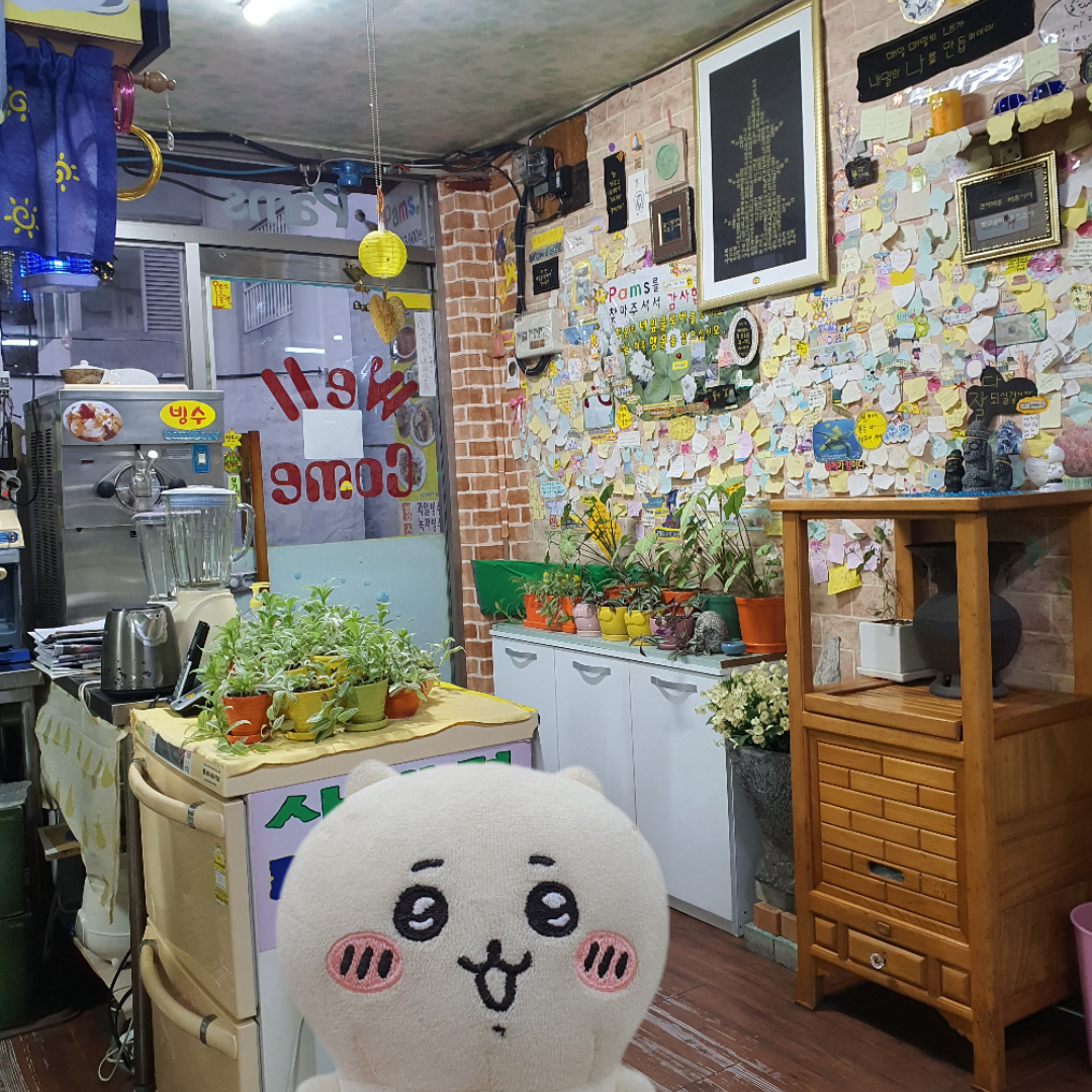 팜스 대표 사진