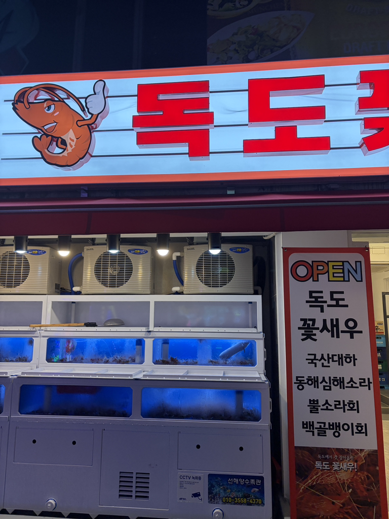 독도꽃새우 대표 사진
