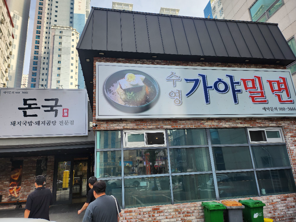 돈국 사진 2