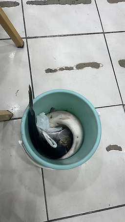 사랑해횟집 사진 6