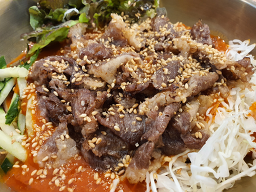 다옴 사진 5