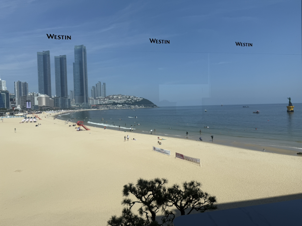 웨스틴조선부산 파노라마라운지 대표 사진