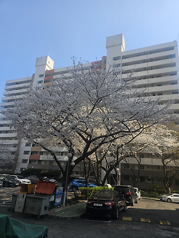 육뚝배기국밥막국수 만덕본점 사진 2