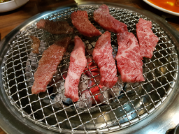 참돈 대표 사진