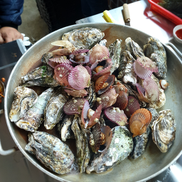 진짜원조거제굴구이 사진 7