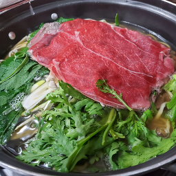 무궁화 사진 6